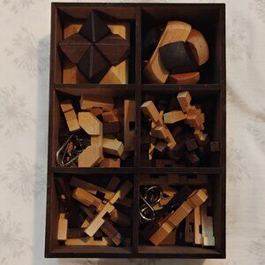 Wooden Puzzle Game – 8 Brain Teasers